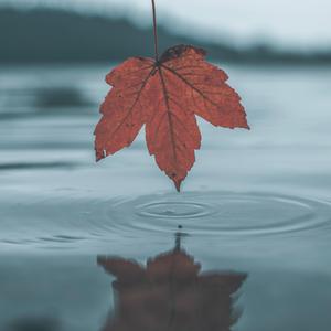 欧美老妇人XX日韩乱伦
